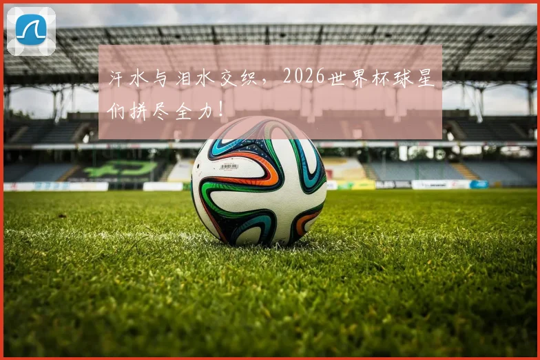 汗水与泪水交织，2026世界杯球星们拼尽全力！